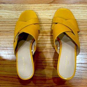 Brand New Ann Tyler Shoes